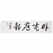 卧虎藏龙—— ...