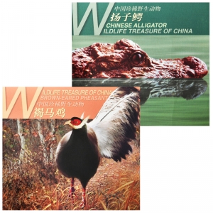 中国珍惜野生动...