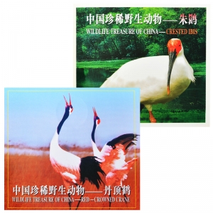 中国珍惜野生动...